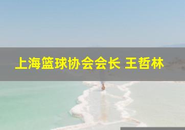 上海篮球协会会长 王哲林